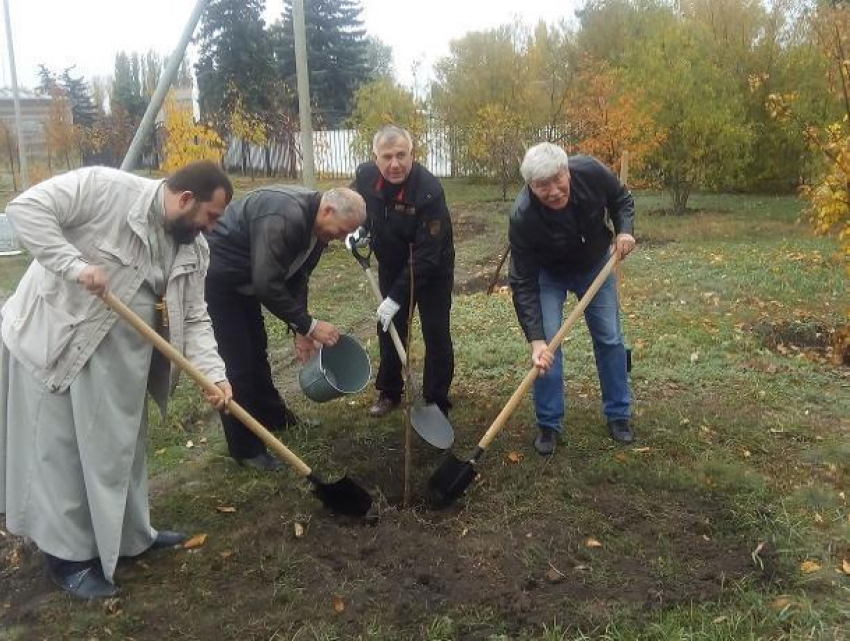 17 деревьев и 40 кустарников посадили в Морозовске в День древонасаждения