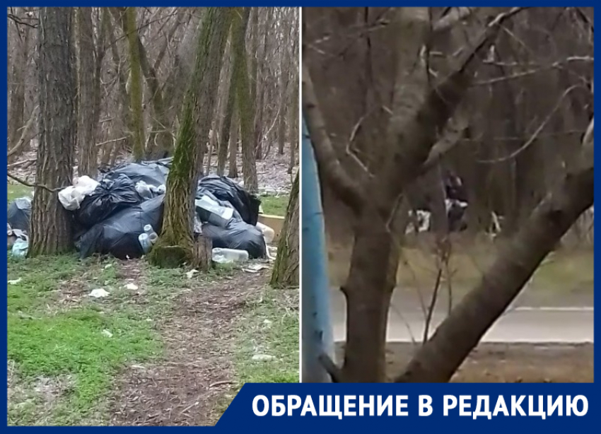 На въезде в город уже полгода гниет несанкционированная свалка: местные жители бьют тревогу