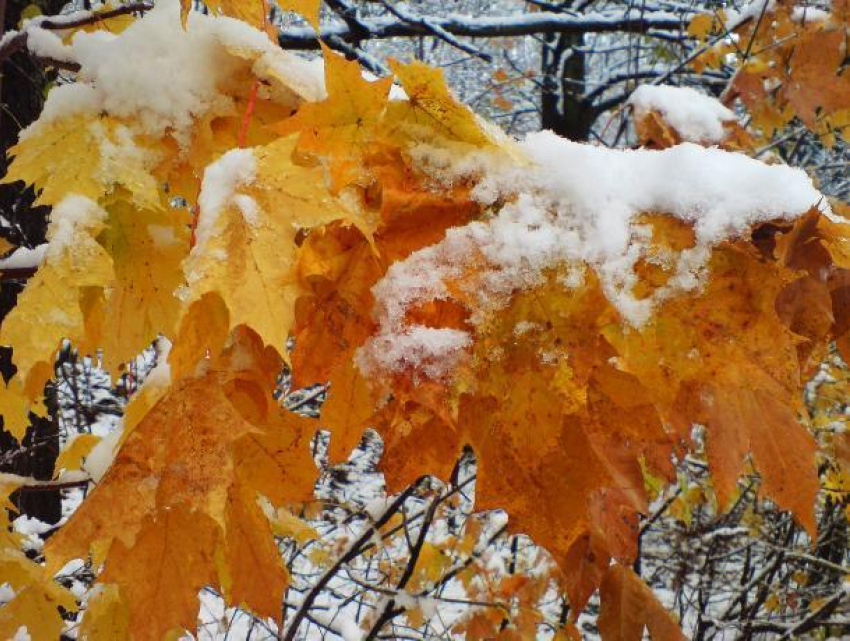 Настоящая зима придет в Морозовск в последний день уходящей недели
