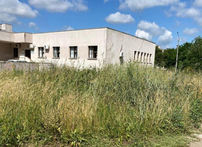Куда обращаться по вопросу покоса травы в микрорайоне «Тексер» пояснили в администрации Морозовского района