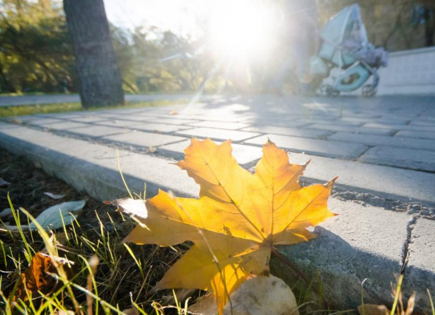 Суббота в Морозовске обещает быть солнечной и очень теплой