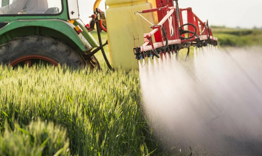  ЗАО «Вишневское» в Морозовском районе объявили предостережение за запоздавшее предупреждение в местной газете об обработке полей пестицидами