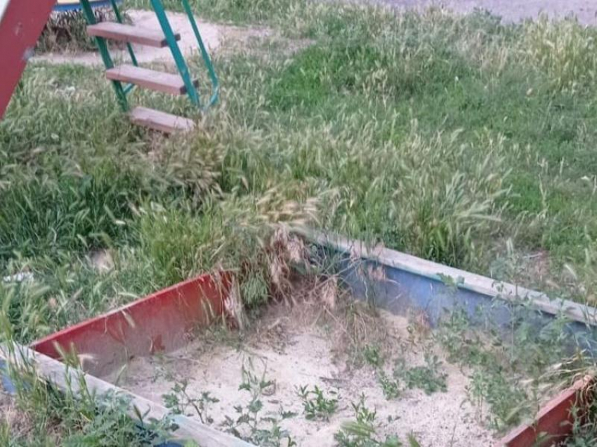 Траву на детской площадке по адресу Истомина 135 в Морозовске пообещали выкосить до 5 июля