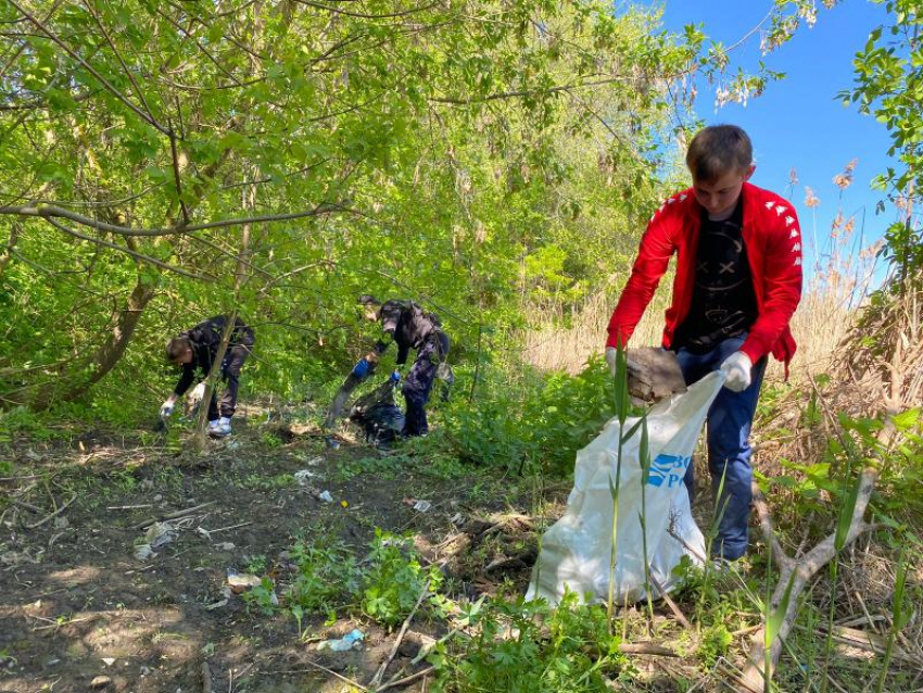 Берег реки Быстрой в Морозовске очистили от бытового мусора 