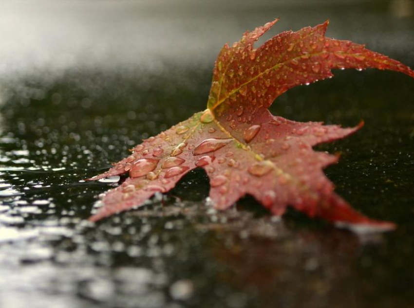 Середина недели в Морозовске окажется холодной и сырой