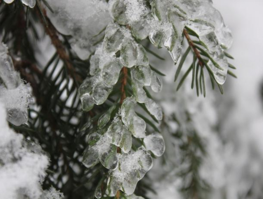 Снег и ледяной дождь возможен в Морозовске во вторник, 4 декабря