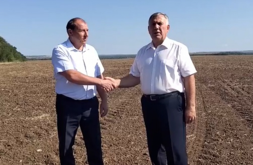 Рекордный урожай ранних зерновых и зернобобовых культур получил Морозовский район