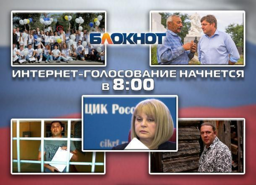 Песца, покемонов и незаконное задержание кандидата пустили в ход партии за неделю до выборов