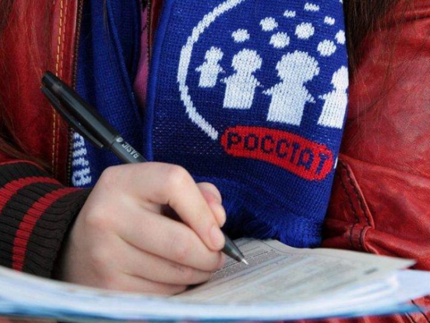 Морозовчане смогут нарисовать талисман Всероссийской переписи населения-2020
