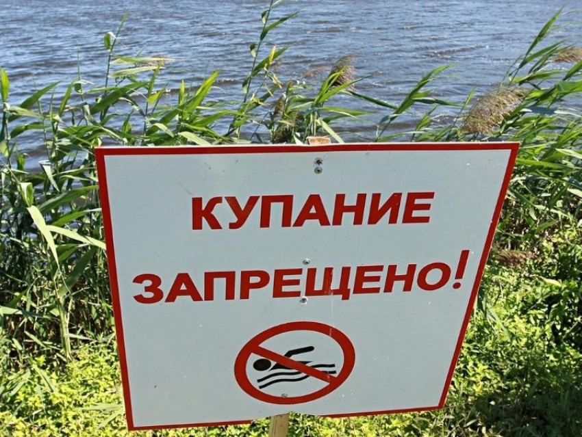 Купание в реке Быстрая предписано запретить, - администрация Морозовского городского поселения