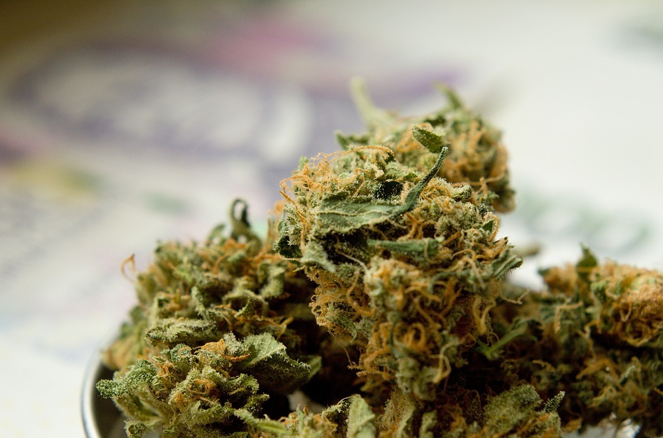 Больше двух килограммов марихуаны нашли сотрудники полиции у 51-летнего морозовчанина