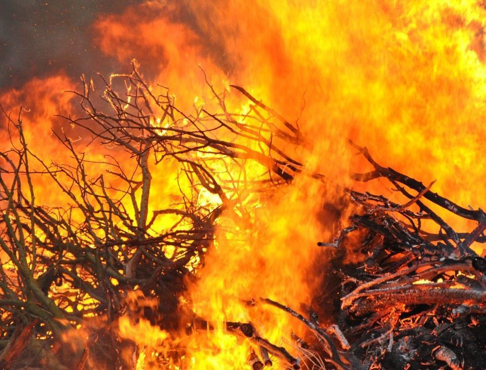Осторожно: в Морозовском районе снова чрезвычайная пожароопасность