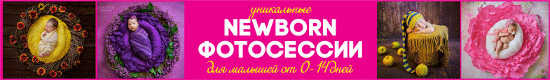 Daria-Pirog_785x115.gif