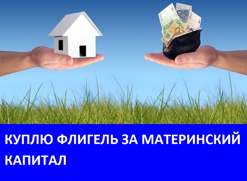 panama-property-money.jpg panama-property-money.jpg